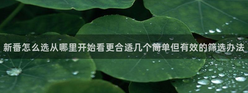 2026虫虫漫画大全:新番怎么选从哪里开始看更合适几个简单但有效的筛选办法配图