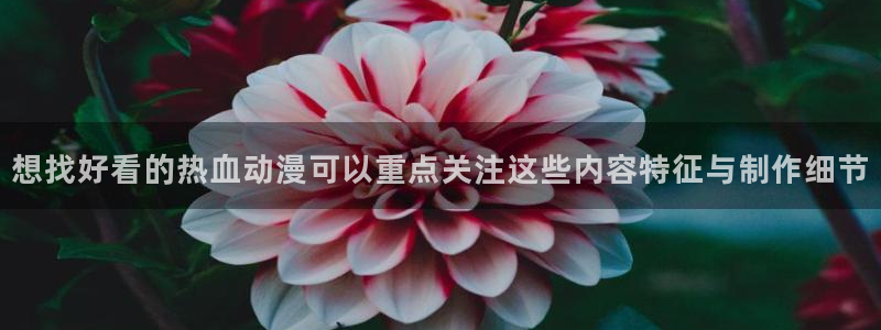 虫虫漫画哪个网站可以看：想找好看的热血动漫可以重点关注这些内容特征与制作细节配图